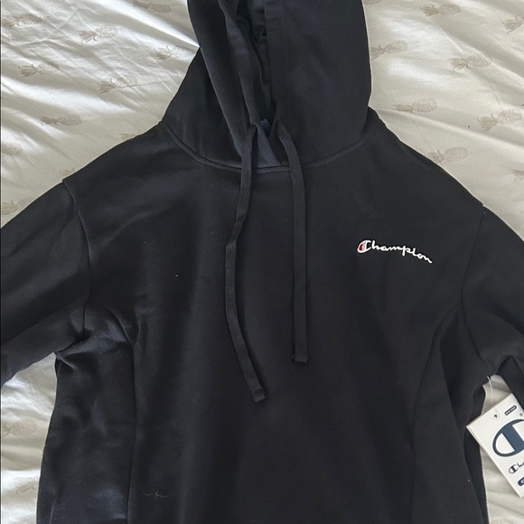 Champion Classic Black Pullover Hoodie - Picture 1 of 4